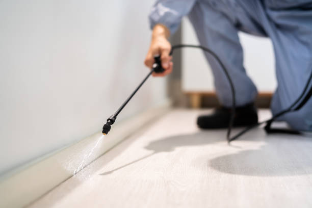 Licensed Termite Control service in Ferron, UT - Nex Pest Control