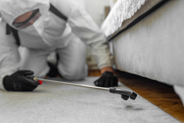 Professional Termite Control technician working in Ferron, UT