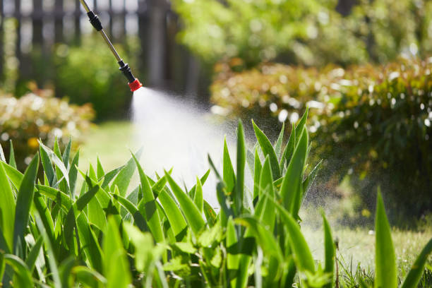 24/7 Emergency Termite Control experts in Ferron, UT