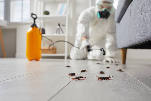 Trusted Fumigation Services service in Ferron, UT - Nex Pest Control