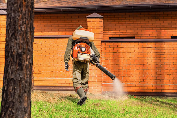 Trusted Rodent Control service in Ferron, UT - Nex Pest Control